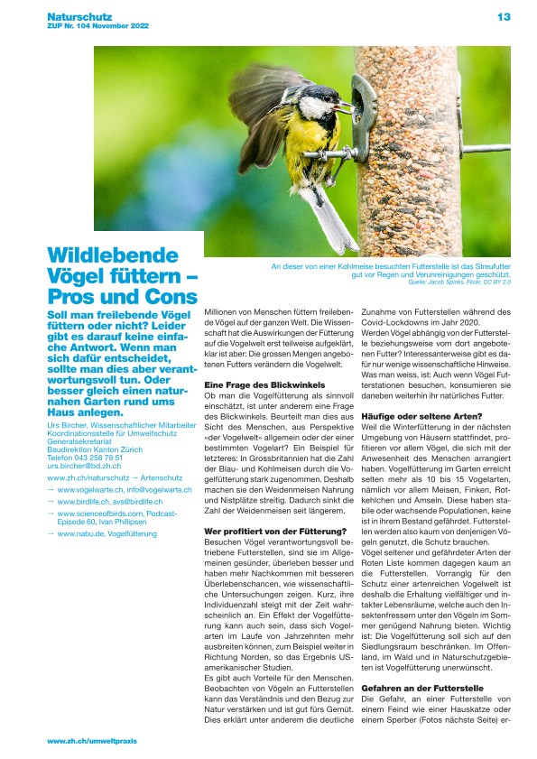 Wildlebende Vögel füttern – Pros und Cons