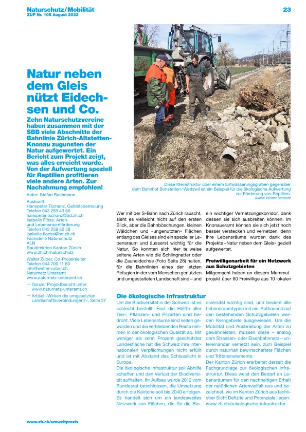 Natur neben dem Gleis nützt Eidechsen und Co.