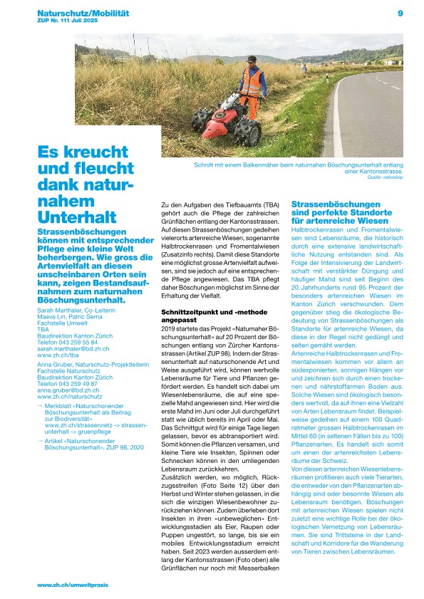 Zürcher Umweltpraxis und Raumentwicklung 111: Es kreucht und fleucht dank naturnahem Unterhalt