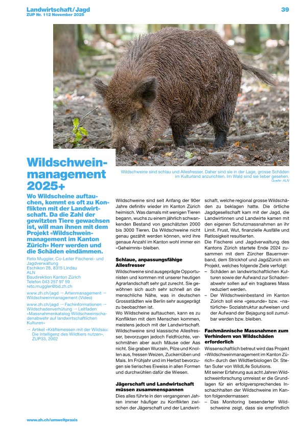 Zürcher Umweltpraxis und Raumentwicklung 112: Wildschweinmanagement im Kanton Zürich