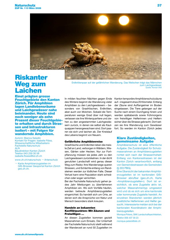 Zürcher Umweltpraxis und Raumentwicklung 113: Riskanter Weg zum Laichen