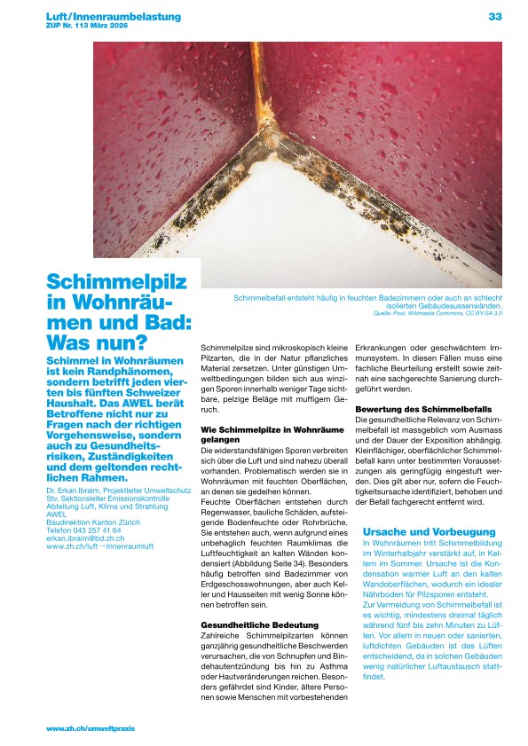 Zürcher Umweltpraxis und Raumentwicklung 113: Was tun gegen Schimmelpilz in Wohnräumen und Bad