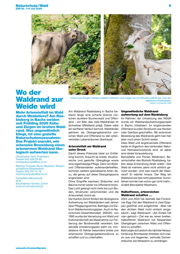 Zürcher Umweltpraxis und Raumentwicklung 114: Wo der Waldrand zur Weide wird