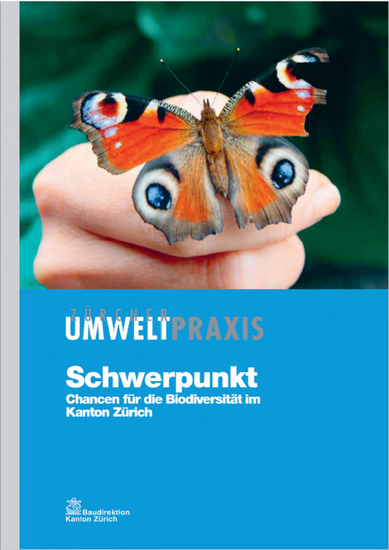 Das ZUP-Titelbild «Chancen für die Biodiversität im Kanton Zürich» zeigt ein auf einer Hand sitzender Schmetterling.