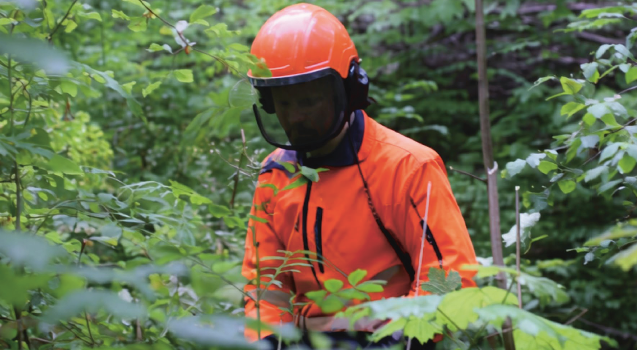 Förster in Aus- und Weiterbildung im Holz