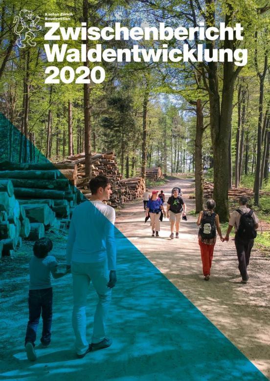 Titelblatt - Zwischenbericht Waldentwicklung 2020