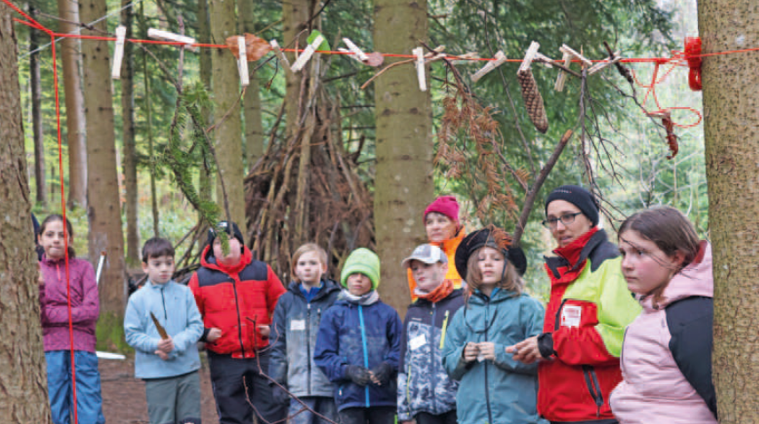 Die Zürcher Schülerinnen und Schüler erleben gemeinsam mit dem Profis den Wald