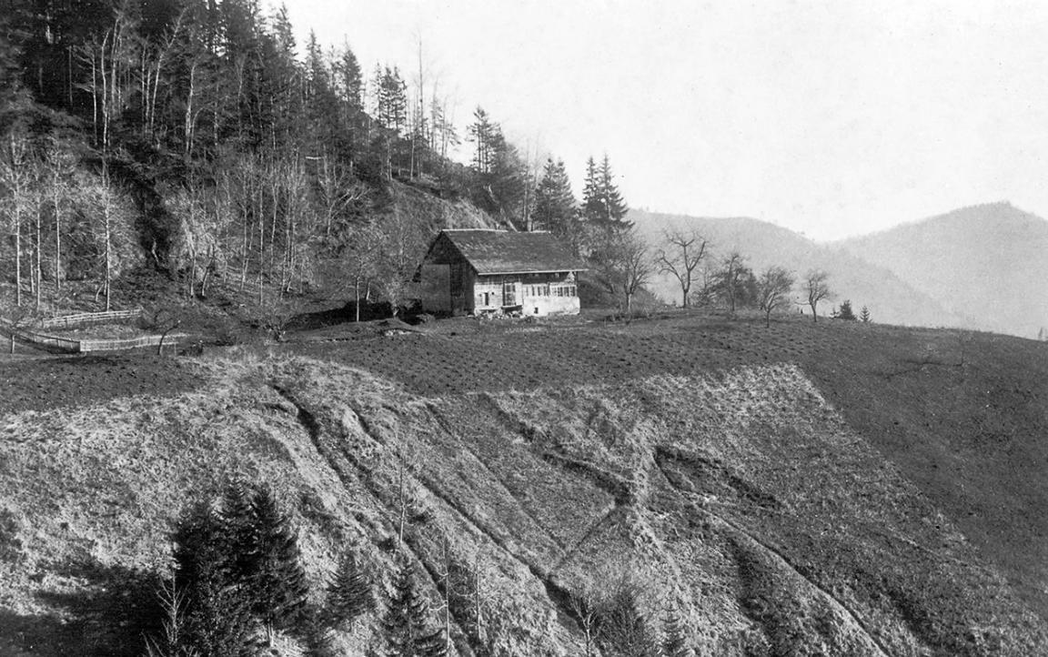 Schwarzweissfoto des Bergheimetli Hinterhessen von 1901. Ein einfaches Bauernhaus steht an einem kahlen Abhang, dahinter steiler Wald.