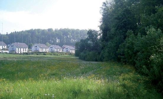 Wohnbauten am Waldrand