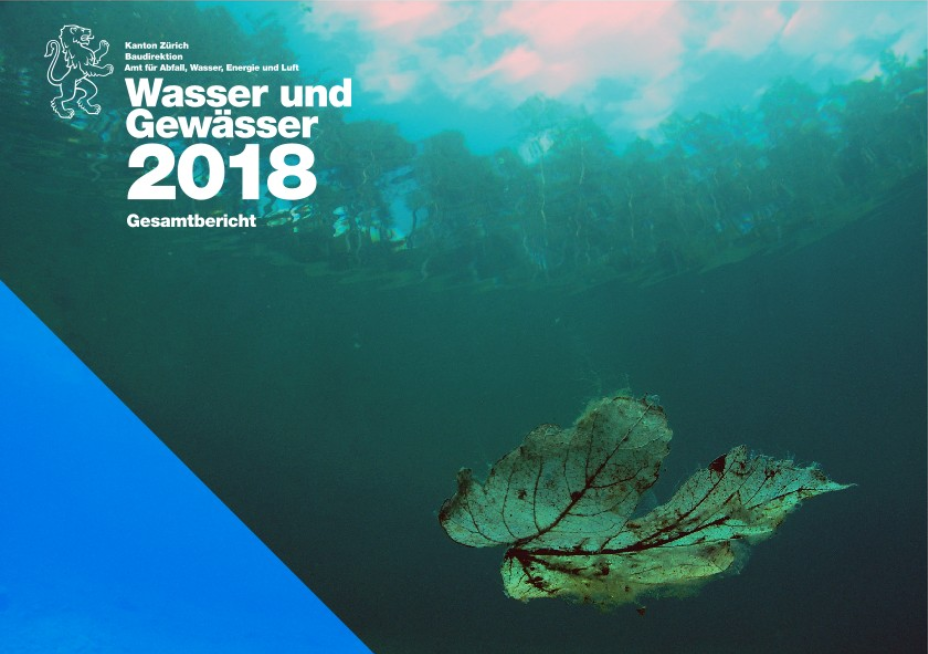 Screenshot des Titelblatts Hauptbericht Wasser und Gewässer 2018 mit schwebendem Blatt im Wasser.