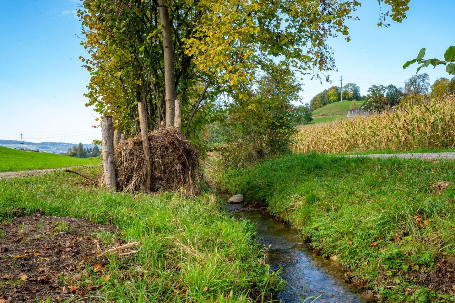 Ein Asthaufen steht neben einem Wiesenbach mit beidseitigen Flurwegen. In der flachen Uferböschung wächst Gras und vereinzelte Sträucher. 