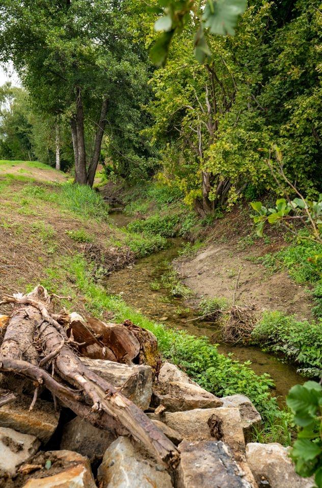 Foto1: Blick auf einen frisch aufgewerteten, mäandrierenden Bachlauf. Das Bachbett besteht aus Geröll und mit verschiedenen Totholzelementen. Das Ufer ist teilweise bewachsen. Im Vordergrund steht ein Steinhaufen.