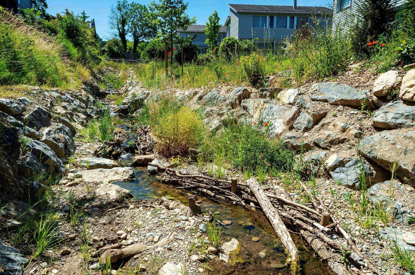 Ein reich strukturierter Dorfbach mit Geröll und Totholzelementen. Im Bachlauf wachsen Hochstauden und das bewachsene Ufer ist beidseitig mit locker angeordneten Steinblöcken gesichert. 