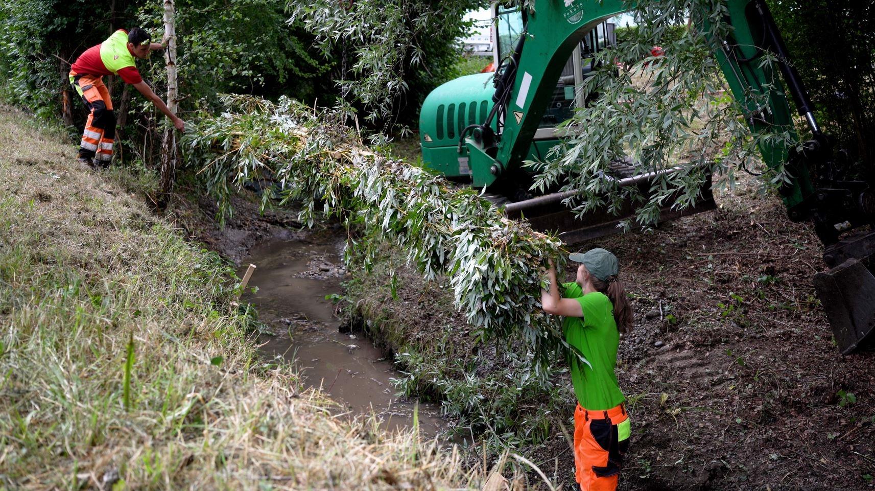 Über einem hängt eine Faschine, die an einer Kette befestigt ist, in der Luft. An der steilen, erodierten Uferböschung links steht ein Mann, der danach greift. Im Bachbett steht eine Frau, die das andere Ende festhält und die Faschine ausrichtet. 
