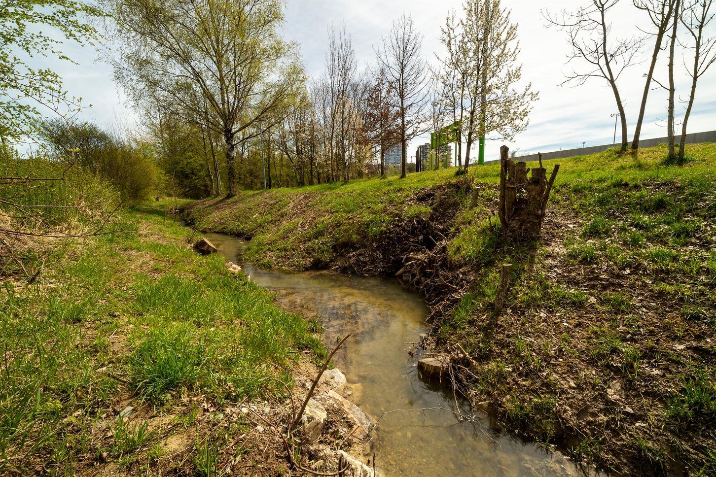 Eine Wiesenbachböschung, die auf der einen Seite von einer Hecke gesäumt ist, auf der anderen Seite stehen Bäume und Baumstrünke. Der Bachverlauf ist geschwungen mit Aufweitungen, die mit Totholzelementen bestückt sind. 
