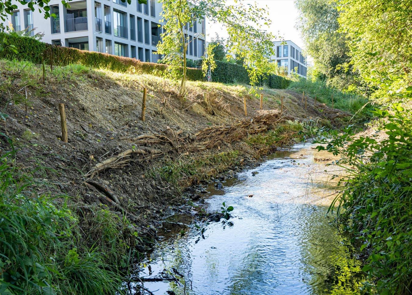 Man sieht einen natürlichen Bachlauf mit einer leichten Kurve. Die linke, steile Uferböschung ist durch mehrere, frisch eingebaute Faschinen vor weiterer Erosion gesichert. 