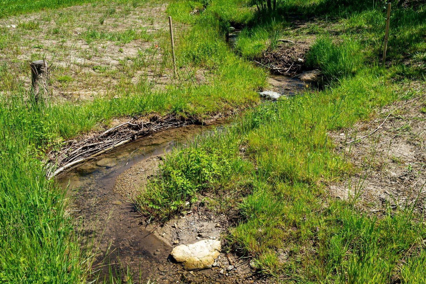 Ein Wiesenbach mit flacher Uferböschung, in dem hauptsächlich Gräser wachsen. Der Bachlauf ist geschwungen und das Bachbett ist mit Totholzelementen und einzelnen Steinen bestückt. 