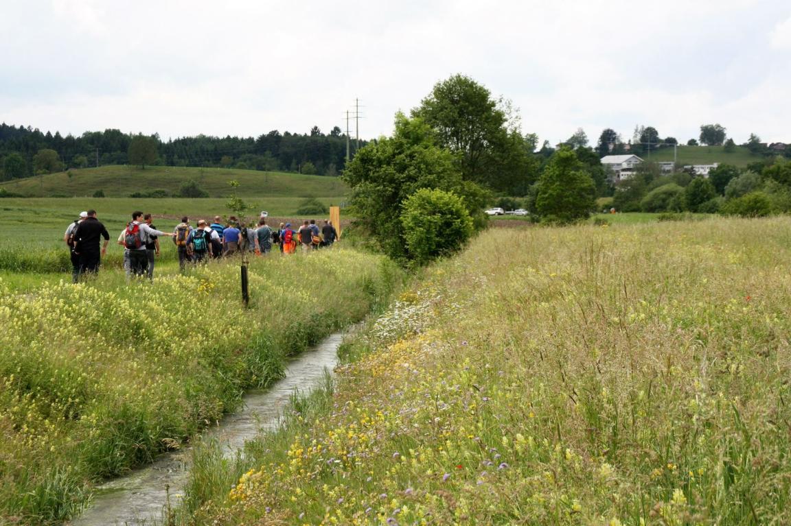 Auf der linken Uferseite eines Bachlauf, der in einer üppigen Wiesenlandschaft eingebettet ist, verläuft ein Flurweg. Darauf geht eine Gruppe von 20 Personen, die man von hinten sieht. Sie diskutieren und begutachten den Bach. 