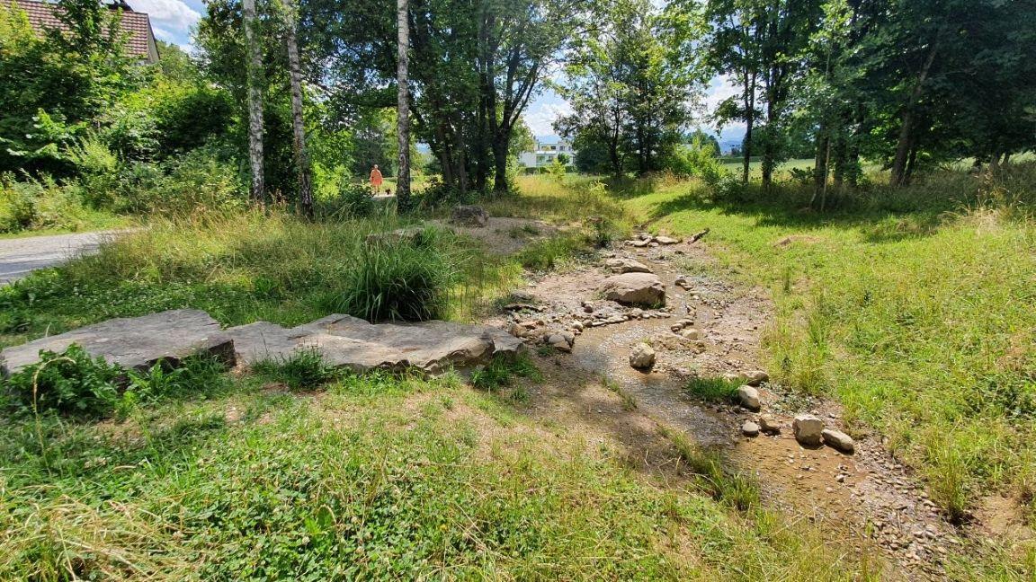 Offengelegter Bönibach mit Steinen, umgeben von grünem Gras und Bäumen, im Hintergrund Gebäude und eine Person an einem Weg.
