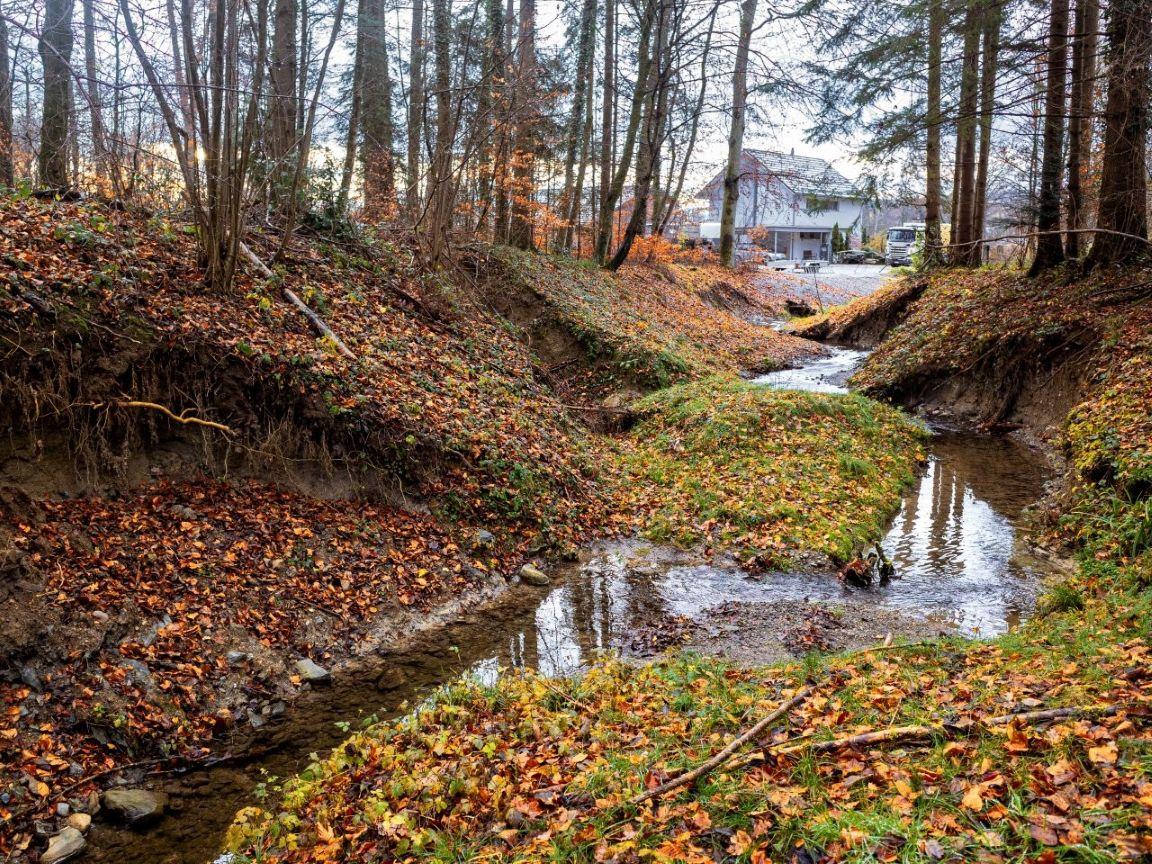 Naturnaher Furtbach schlängelt sich durch herbstlichen Wald, mit kahlen Bäumen und Laub auf bewachsenen Uferböschungen. Im Hintergrund sind Häuser zu sehen.