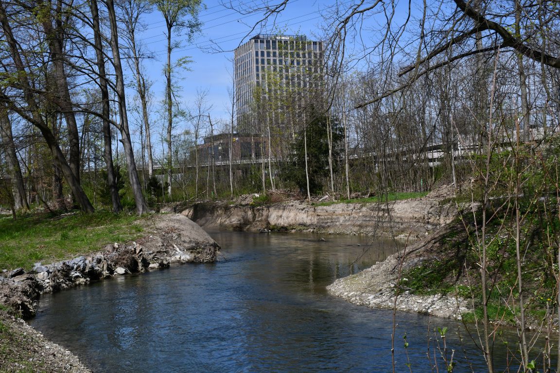 Flusslauf der Glatt im Gebiet Altried mit freigelegten, leicht erodierten Ufern und einem Geschäftsgebäude im Hintergrund.