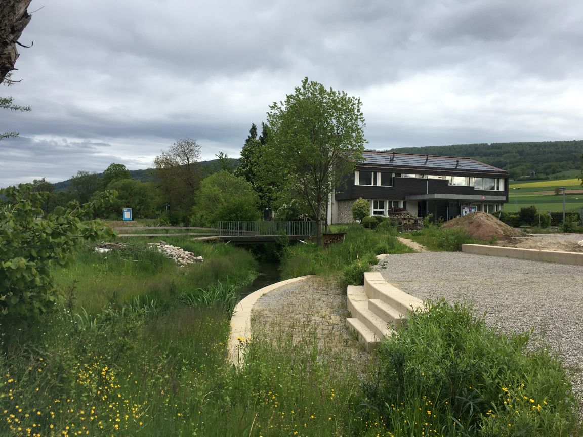 Die revitalisierte Surb windet sich durch eine grüne Landschaft mit neu angelegten Wegen, im Hintergrund ein Gebäude mit Solarpaneelen.