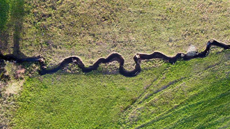 Luftaufnahme eines schlängelnden Baches, der sich durch eine grüne, grasbewachsene Landschaft zieht.