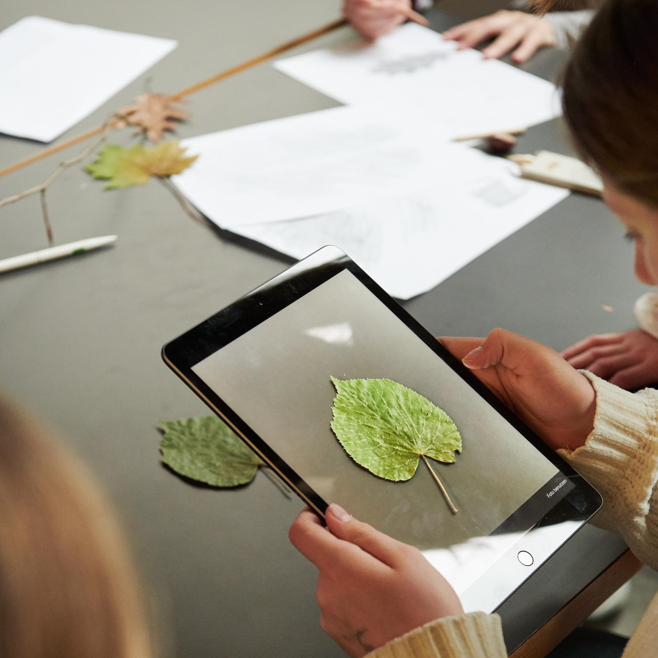 Ein Knabe betrachtet ein ipad, auf welchem ein grünes Blatt aufgeklebt ist