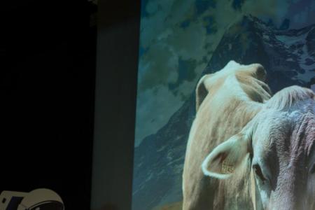 Der Erfinder von Animal Whisperer stellt das Projekt auf der Bühne vor.