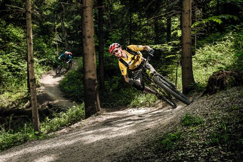 Zwei Mountainbiker fahren auf einem kurvigen Schotterweg durch einen sonnenbeschienenen Wald.