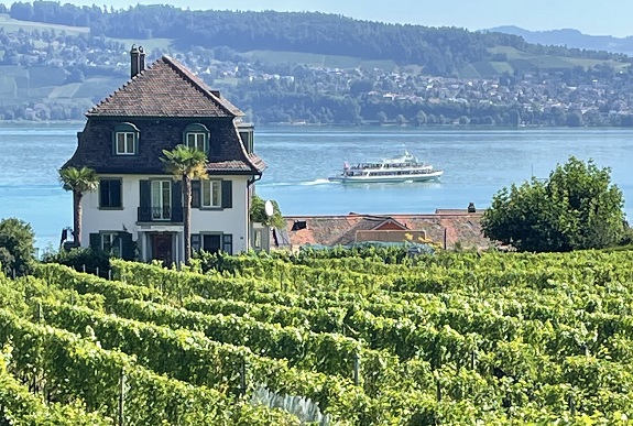 Weingut inmitten von Reben. Im Hintergrund der Zürichsee mit Passagierschiff.