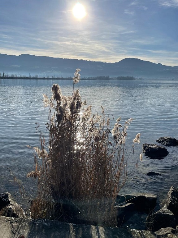 Blick auf den blau-schwarzen Zürichsee an einem Januartag