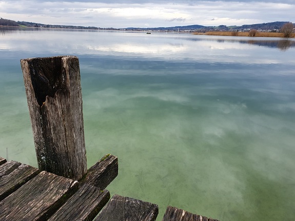 Blick von Holzsteg auf grün-blauen See