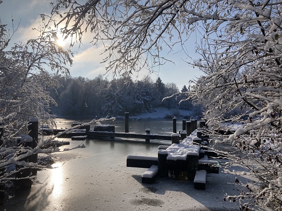Winterlicher Weiher mit verschneitem Ufer