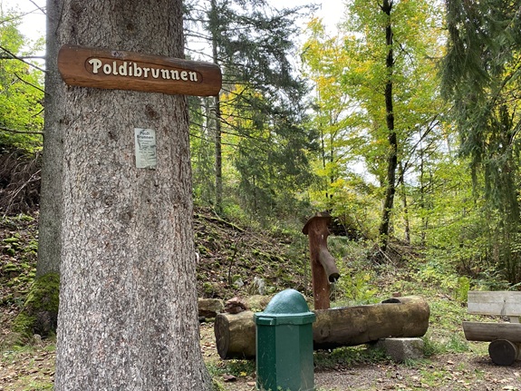 Ein Waldplatz mit einem Baum, Schild &bdquo;Poldibrunnen&ldquo;, Holzbrunnen, gr&uuml;ner Abfallbeh&auml;lter und Bank, umgeben von B&auml;umen.