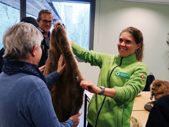 Eine Person pr&auml;sentiert ein grosses Fellst&uuml;ck. Eine andere Person ber&uuml;hrt das Fell. Auf dem Tisch liegen weitere Tierpr&auml;parate, darunter vermutlich ein Biber. 