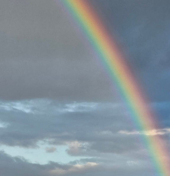 Regenbogen