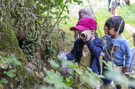Junge Kinder sind am Waldrand am Entdecken