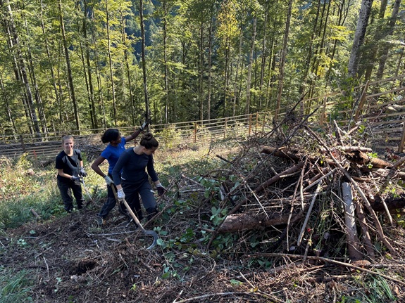 Drei Jugendliche arbeiten im Wald auf einer B&ouml;schung und tragen &Auml;ste sowie Holzreste zu einem grossen Haufen zusammen.