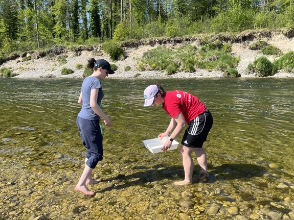 Zwei Personen untersuchen knietief in einem klaren Fluss mit einer Schale das Wasser, umgeben von Kiesbett und bewaldetem Ufer.