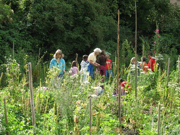 Eine Gruppe von Kindern erkundet gemeinsam eine artenreiche Wiese mit Pflanzen und Holzpf&auml;hlen am Waldrand.
