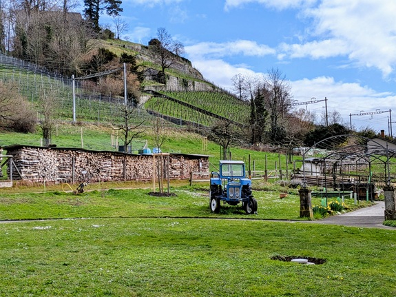 Blauer Traktor steht auf gr&uuml;ner Wiese