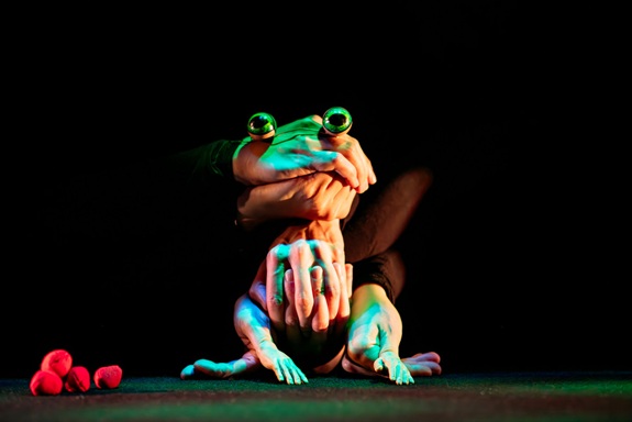 Kunstvolle Froschfigur sitzt im Rampenlicht vor schwarzem Hintergrund.