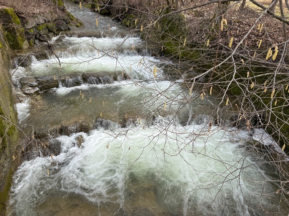 Bach mit schnell fliessendem Wasser und kleinen Kaskaden in einer nat&uuml;rlichen, bewaldeten Umgebung.