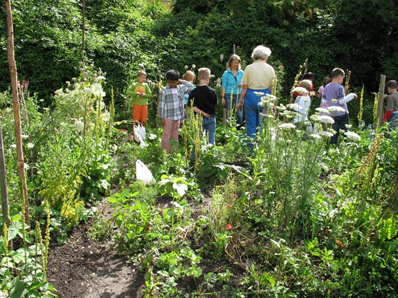 Eine Gruppe von Kindern erkundet gemeinsam mit Erwachsenen einen naturnahen Garten im Freien.