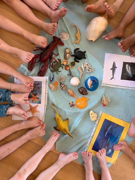Kinderf&uuml;sse im Kreis um eine Sammlung von Muscheln und Meerestieren auf dem Boden.