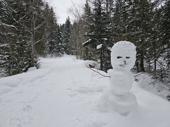 Ein Schneemann steht am Rand eines verschneiten Waldwegs, umgeben von dichtem Winterwald.