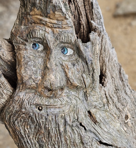 Holzstamm mit geschnitztem Gesicht und blauen Augen.