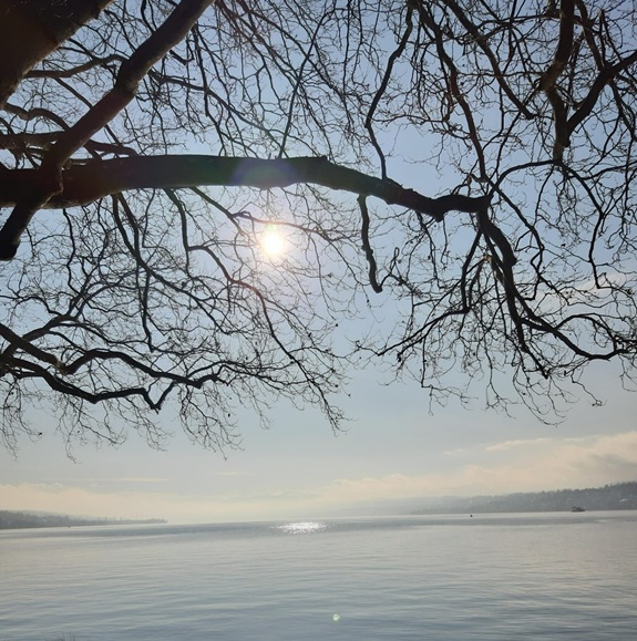 Ruhige Seelandschaft mit tief stehender Sonne, spiegelndem Wasser und kahlen &Auml;sten im Vordergrund.