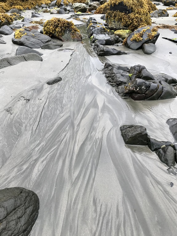 Trockenes Flussbett mit grauem Sand, schwarzen Steinen und gelben Flechten